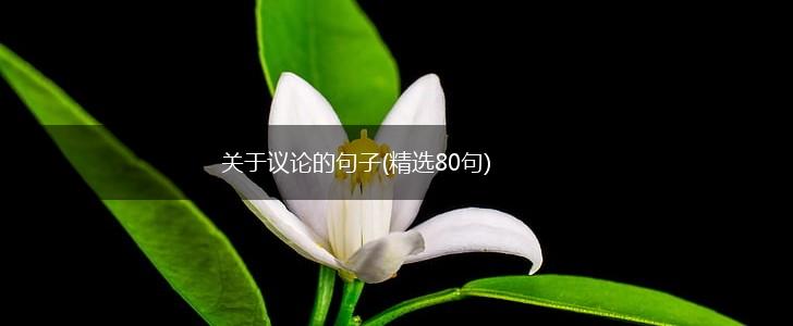 关于议论的句子(精选80句),第1张