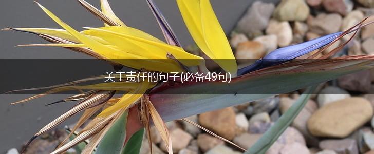 关于责任的句子(必备49句),第1张