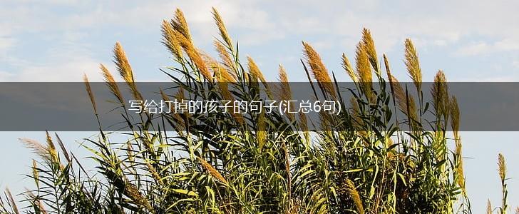 写给打掉的孩子的句子(汇总6句),第1张