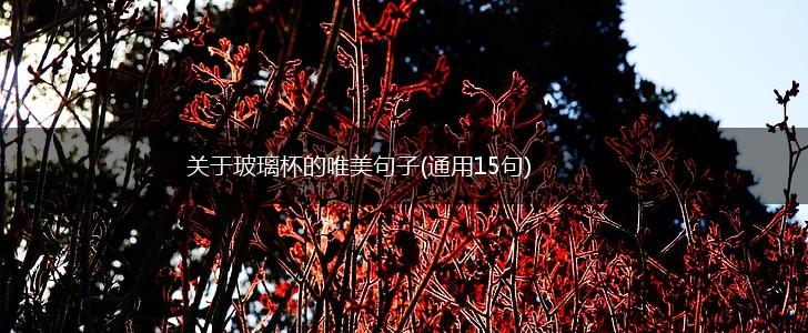 关于玻璃杯的唯美句子(通用15句),第1张
