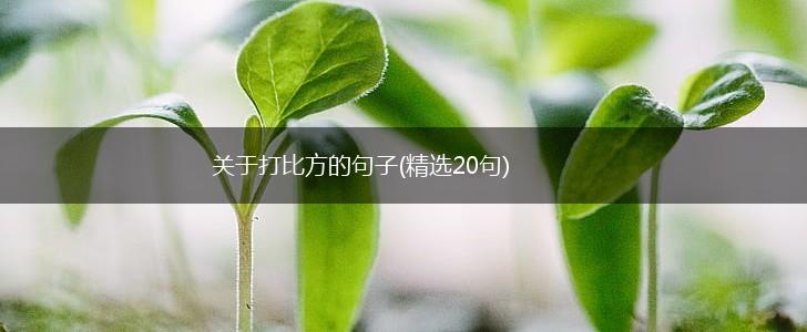 关于打比方的句子(精选20句),第1张