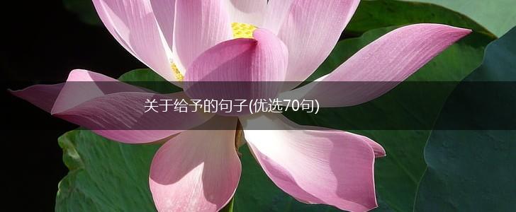 关于给予的句子(优选70句),第1张