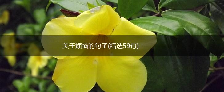 关于烦恼的句子(精选59句),第1张
