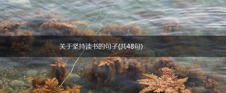 关于坚持读书的句子(共48句),第1张