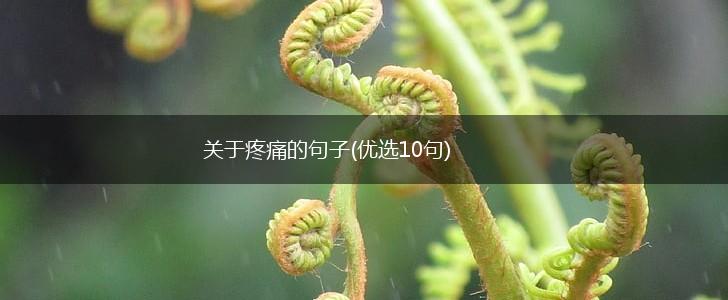 关于疼痛的句子(优选10句),第1张