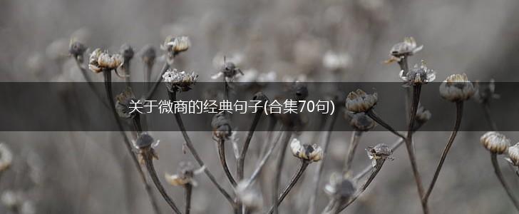 关于微商的经典句子(合集70句),第1张