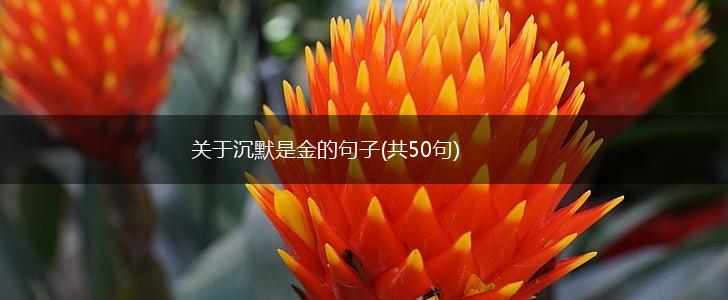 关于沉默是金的句子(共50句),第1张