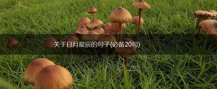 关于日月星辰的句子(必备20句),第1张