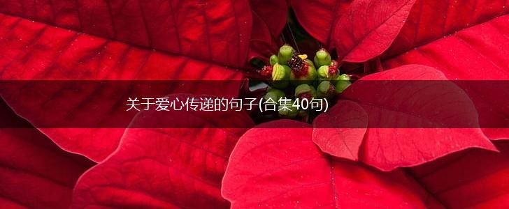 关于爱心传递的句子(合集40句),第1张