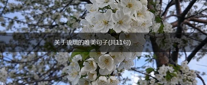 关于琉璃的唯美句子(共11句),第1张