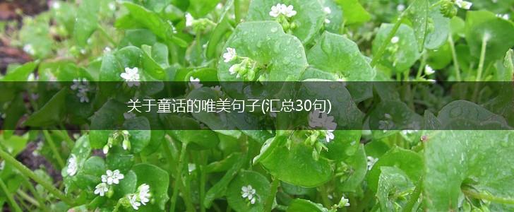关于童话的唯美句子(汇总30句),第1张