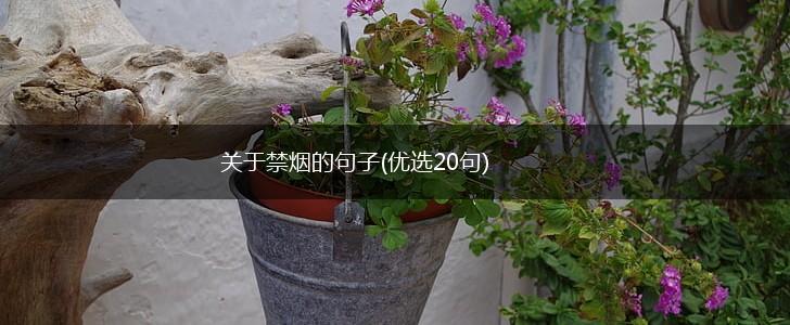 关于禁烟的句子(优选20句),第1张