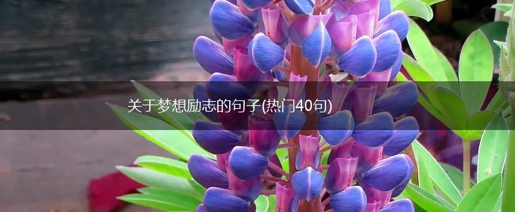 关于梦想励志的句子(热门40句),第1张