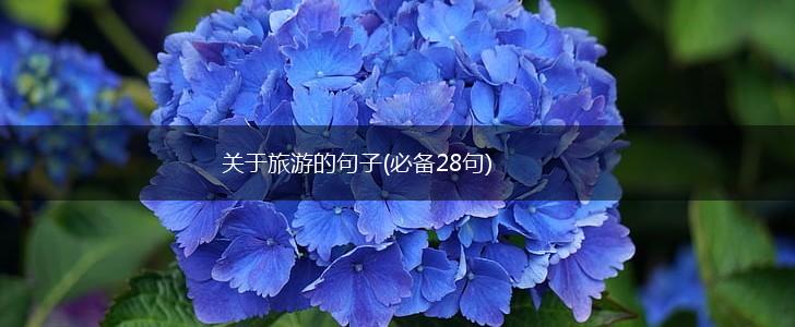 关于旅游的句子(必备28句),第1张