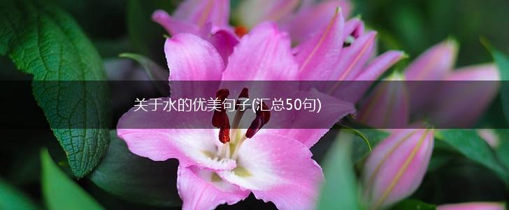 关于水的优美句子(汇总50句),第1张