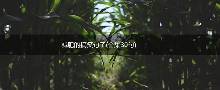 减肥的搞笑句子(合集30句),第1张