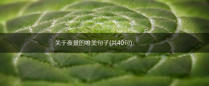 关于夜景的唯美句子(共40句),第1张