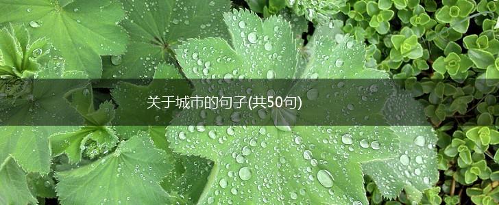 关于城市的句子(共50句),第1张