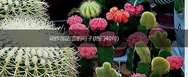 动作加语言的句子(热门40句),第1张