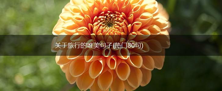 关于旅行的唯美句子(热门80句),第1张