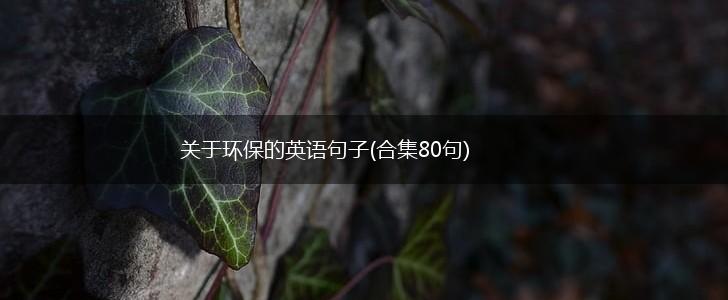 关于环保的英语句子(合集80句),第1张