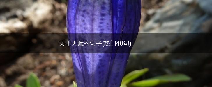 关于天赋的句子(热门40句),第1张