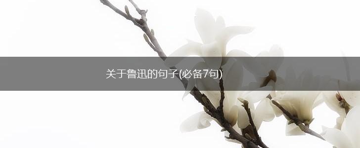 关于鲁迅的句子(必备7句),第1张
