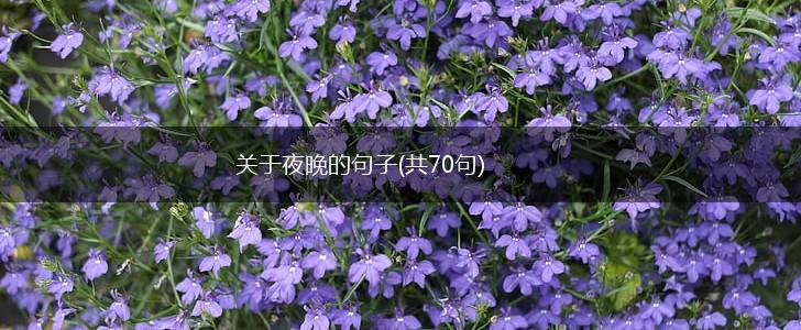 关于夜晚的句子(共70句),第1张
