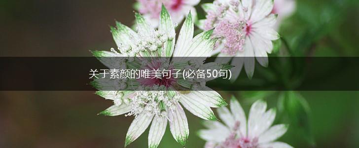 关于素颜的唯美句子(必备50句),第1张