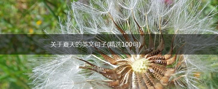 关于夏天的英文句子(精选100句),第1张