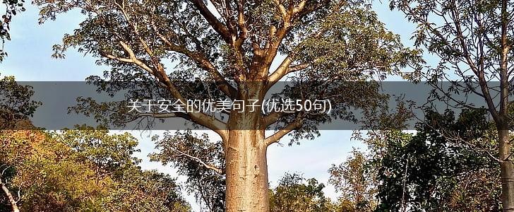 关于安全的优美句子(优选50句),第1张