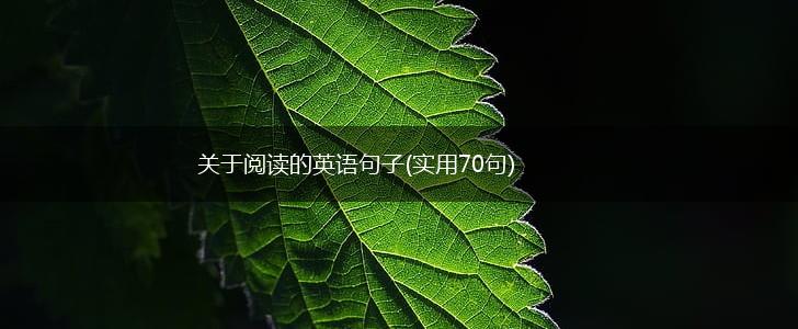 关于阅读的英语句子(实用70句),第1张