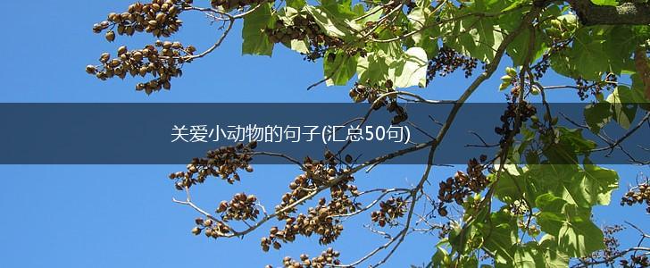 关爱小动物的句子(汇总50句),第1张