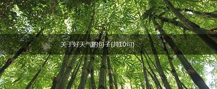关于好天气的句子(共10句),第1张