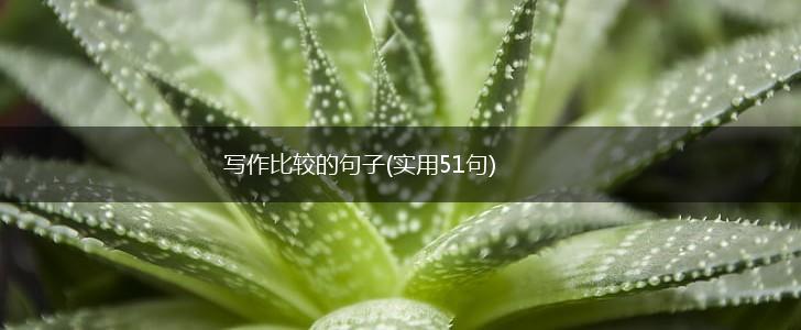 写作比较的句子(实用51句),第1张