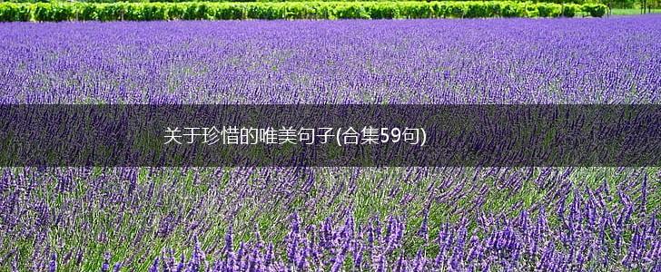 关于珍惜的唯美句子(合集59句),第1张