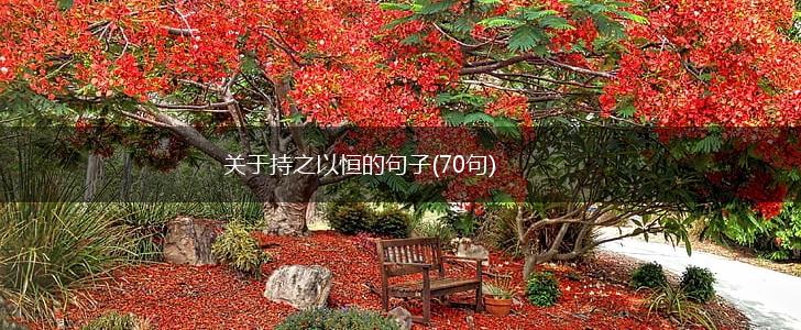 关于持之以恒的句子(70句),第1张