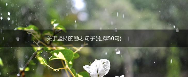 关于坚持的励志句子(推荐50句),第1张