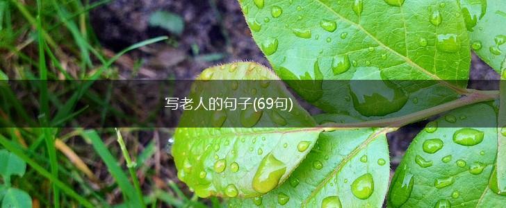 写老人的句子(69句),第1张
