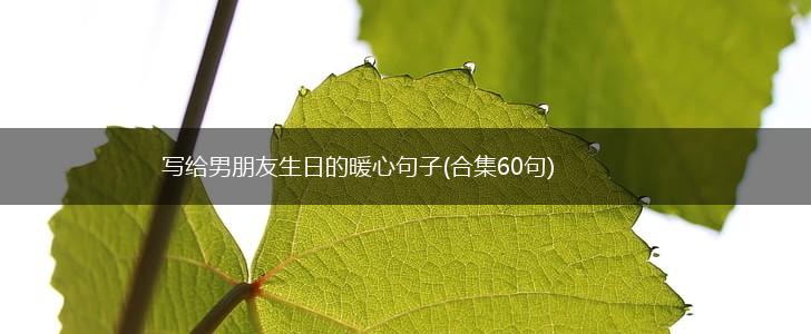 写给男朋友生日的暖心句子(合集60句),第1张