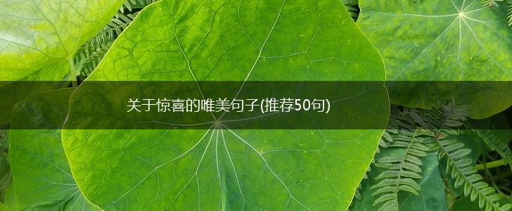 关于惊喜的唯美句子(推荐50句),第1张