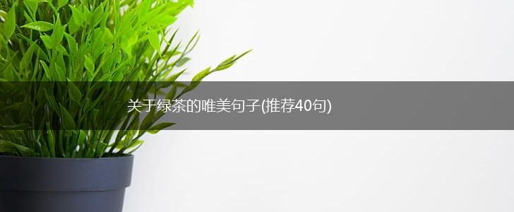 关于绿茶的唯美句子(推荐40句),第1张