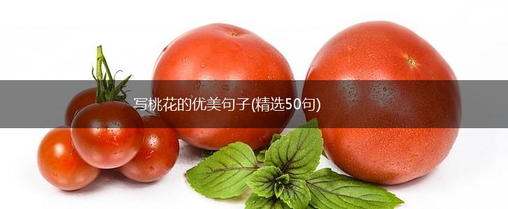 写桃花的优美句子(精选50句),第1张