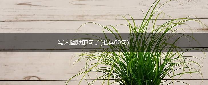写人幽默的句子(推荐60句),第1张