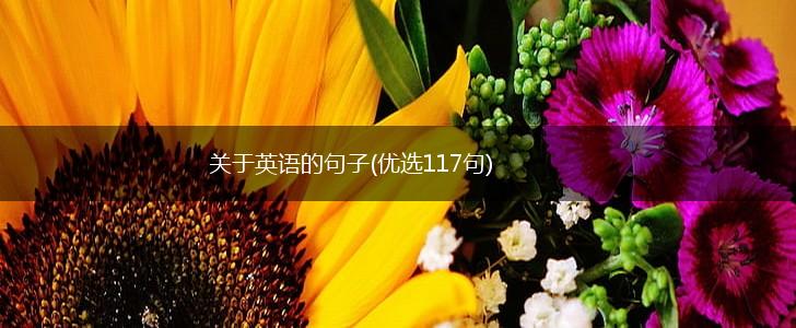 关于英语的句子(优选117句),第1张