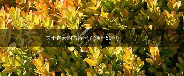 关于春天的古诗句子(通用50句),第1张