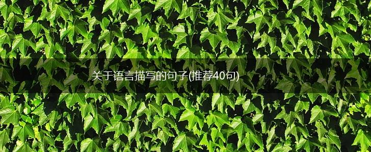 关于语言描写的句子(推荐40句),第1张
