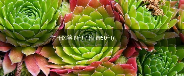 关于风筝的句子(优选50句),第1张