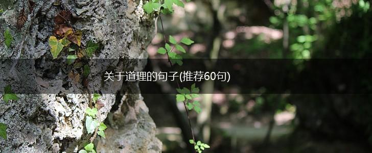 关于道理的句子(推荐60句),第1张