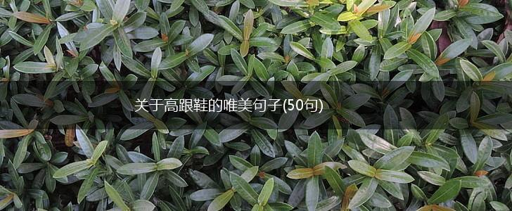 关于高跟鞋的唯美句子(50句),第1张